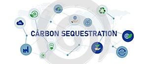 carbon sequestration ecology friendly natural environment organic conservation global