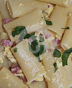 Carbonara pasta. Typical Italian lunch
