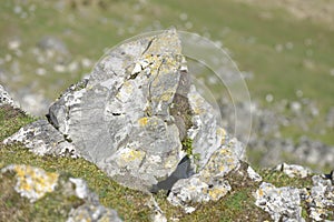 Carboniferous Limestone Outcrop