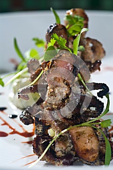 Carbonized octopus
