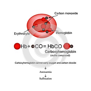 Carboxyhemoglobin. Joining the hemoglobin carbon monoxide. Carbon monoxide poisoning. Infographics. Vector illustration