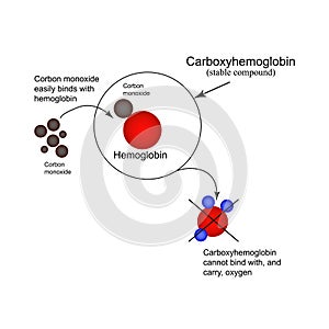 Carboxyhemoglobin. Joining the hemoglobin carbon monoxide. inability to transport oxygen. Carbon monoxide poisoning. Infographics