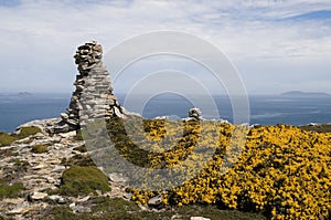 Carcass Island Rock-pile