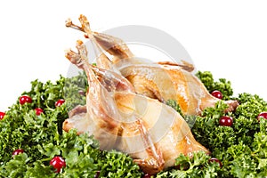 Carcasses of quail roasted with cranberry and parsley