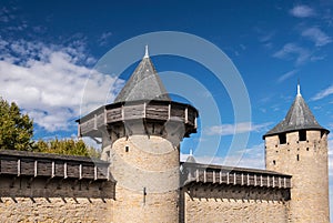 Carcassonne Towers