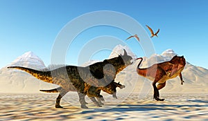 Carcharodontosaurus Dinosaur attacks Brachyceratops Dinosaurs