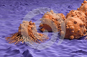 Carcinoma cells field in kidney cancer - closeup view 3d illustration