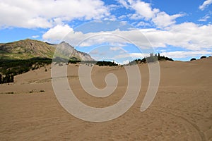 Carcross Desert, Carcross, Yukon, Canada