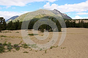 Carcross Desert, Carcross, Yukon, Canada