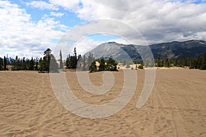 Carcross Desert, Carcross, Yukon, Canada