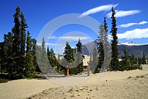 Carcross Desert, next to Klondike Highway