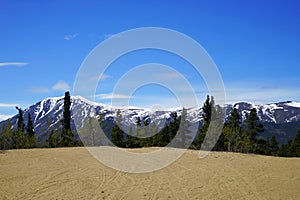 Carcross Desert, next to Klondike Highway