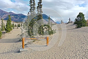 Carcross Desert sign