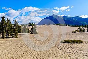 Carcross Desert in Yukon, Canada