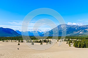 Carcross Desert in Yukon, Canada