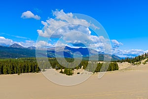 Carcross Desert in Yukon, Canada