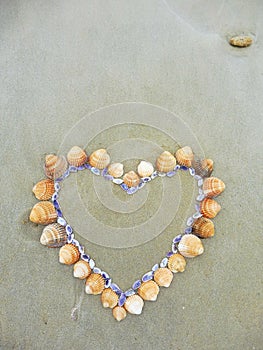 Card background shells on the beach top view heart shape next to the ocean