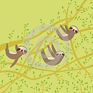 Card banner template with funny and cute smiling Three-toed sloth set on green branch tree creeper, copy space green background. V