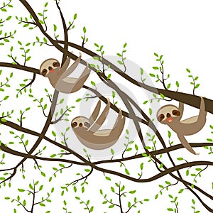 Card banner template with funny and cute smiling Three-toed sloth set on green branch tree creeper, copy space white back