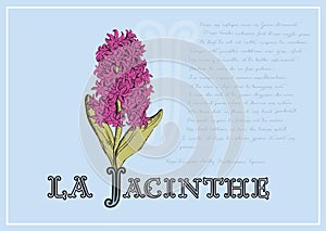 Card with beautiful hyacinth and poem