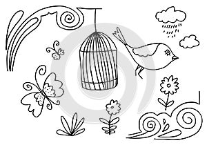 Card with bird and butterfly with birdcage hanging from flower branch on white background