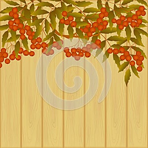 Card with branch of rowanberry