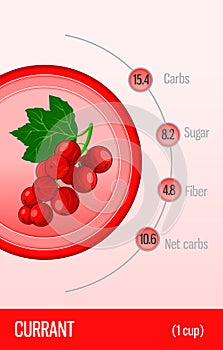 Card carbohydrates, sugar and fiber in fruits.