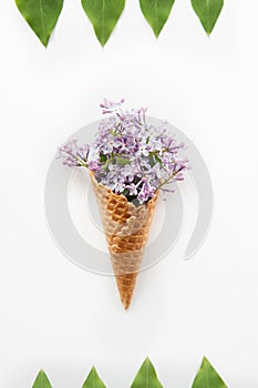 Card with Close up Bouquet of purple lilac flowers in the waffle cone and frame of raws of green leafs on the white background. To