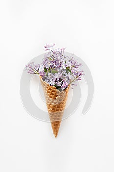 Card with Close up Bouquet of spring purple lilac flowers in the waffle cone on the white background. Top view. Flat lay. Space fo