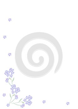 card with delicate and cute forget-me-not flowers, color