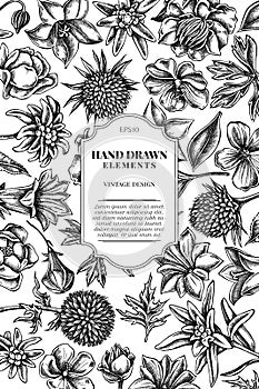 Card design with black and white bellflower, edelweiss, globethistle, globeflower, meadow geranium, gentiana