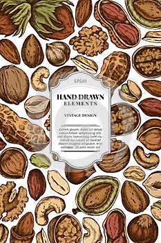 Card design with colored cashew, peanut, pistachio, hazelnut, almond, walnut