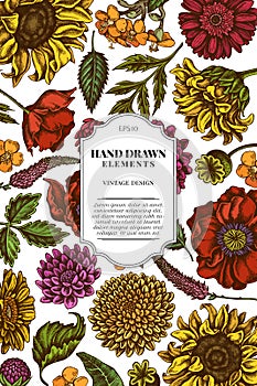 Card design with colored poppy flower, gerbera, sunflower, milkweed, dahlia, veronica