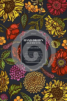 Card design on dark background with poppy flower, gerbera, sunflower, milkweed, dahlia, veronica