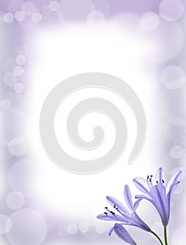 Card design flowers shading