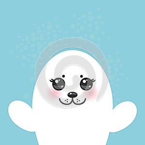 Card design Funny white fur seal pups, cute seals