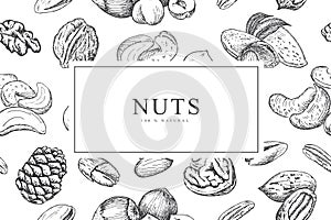 Card with different nuts. Vector illustration background