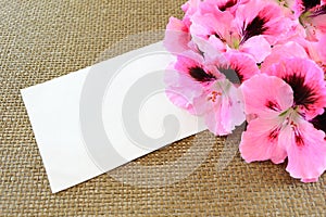 Card and geranium flowers photo