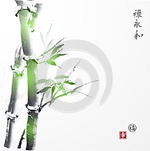 Card with green bamboo in sumi-e style.