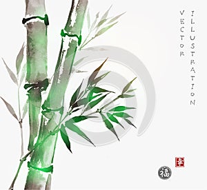 Card with green bamboo in sumi-e style. photo