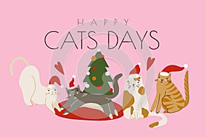 Card with happy cats. Merry Christmas holiday print.