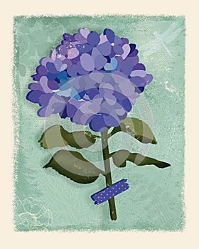 Card with a hydrangea in a green background.