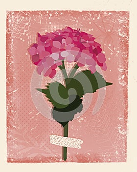 Card with a hydrangea in a pink background.