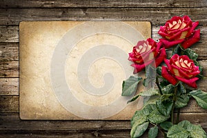 Card for invitation or congratulation with red rose