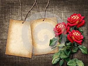 Card for invitation or congratulation with red roses