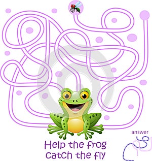 Card with maze game, help the frog catch the fly