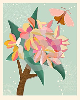 Card with plumerias in a green background.