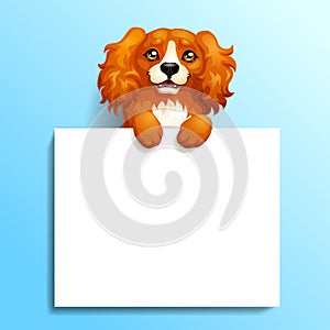 Card red Cocker Spaniel and banner on blue