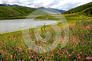 Card Sally lake scenery photo