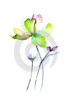 Card template with Beautiful flowers, watercolor illustration